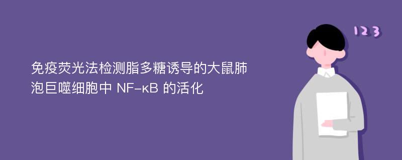 免疫荧光法检测脂多糖诱导的大鼠肺泡巨噬细胞中 NF-κB 的活化