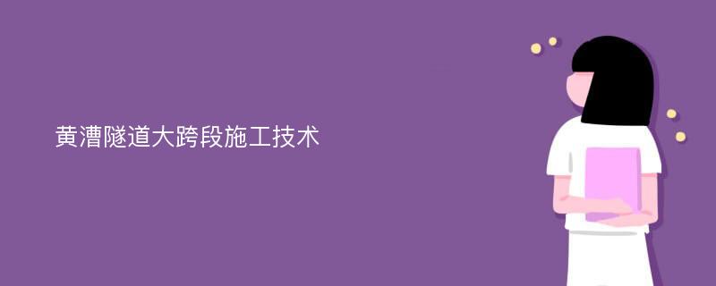 黄漕隧道大跨段施工技术