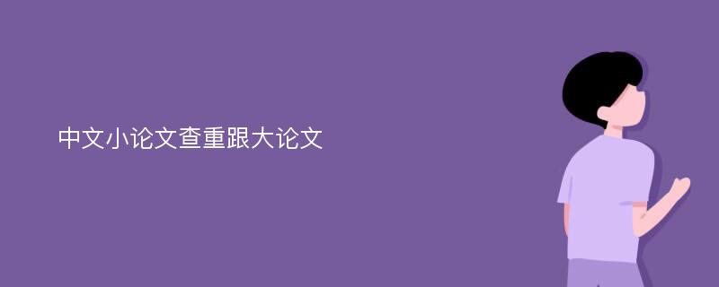 中文小论文查重跟大论文