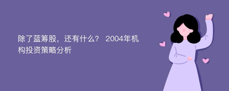 除了蓝筹股，还有什么？ 2004年机构投资策略分析