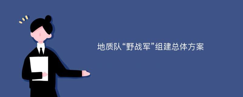 地质队“野战军”组建总体方案