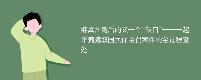 继冀州湾后的又一个“缺口”——一起诈骗骗取国民保险费案件的全过程查处