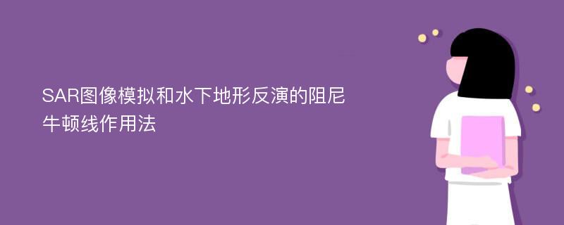 SAR图像模拟和水下地形反演的阻尼牛顿线作用法