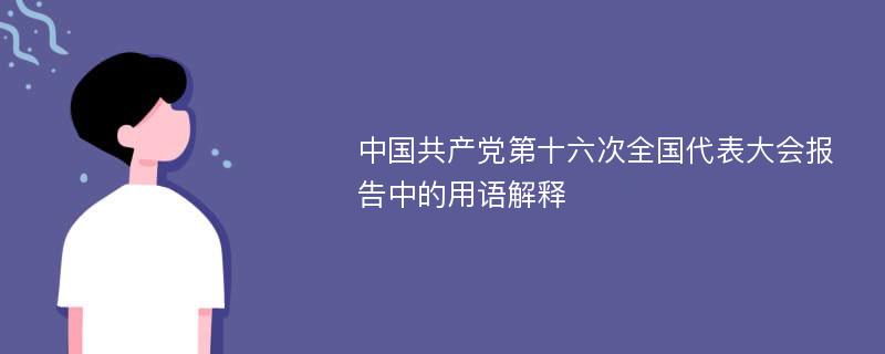 中国共产党第十六次全国代表大会报告中的用语解释