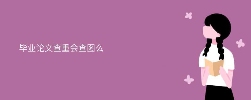 毕业论文查重会查图么