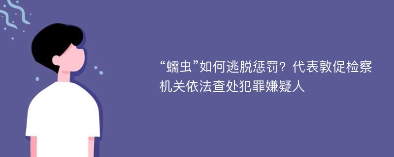 “蠕虫”如何逃脱惩罚？代表敦促检察机关依法查处犯罪嫌疑人