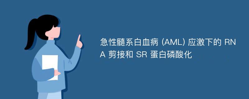 急性髓系白血病 (AML) 应激下的 RNA 剪接和 SR 蛋白磷酸化