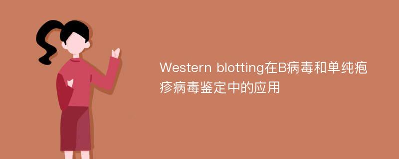 Western blotting在B病毒和单纯疱疹病毒鉴定中的应用