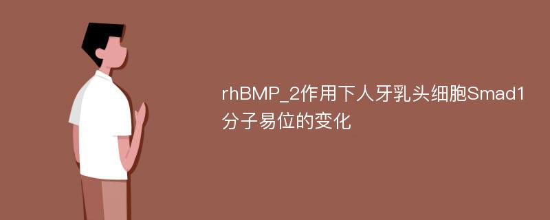 rhBMP_2作用下人牙乳头细胞Smad1分子易位的变化